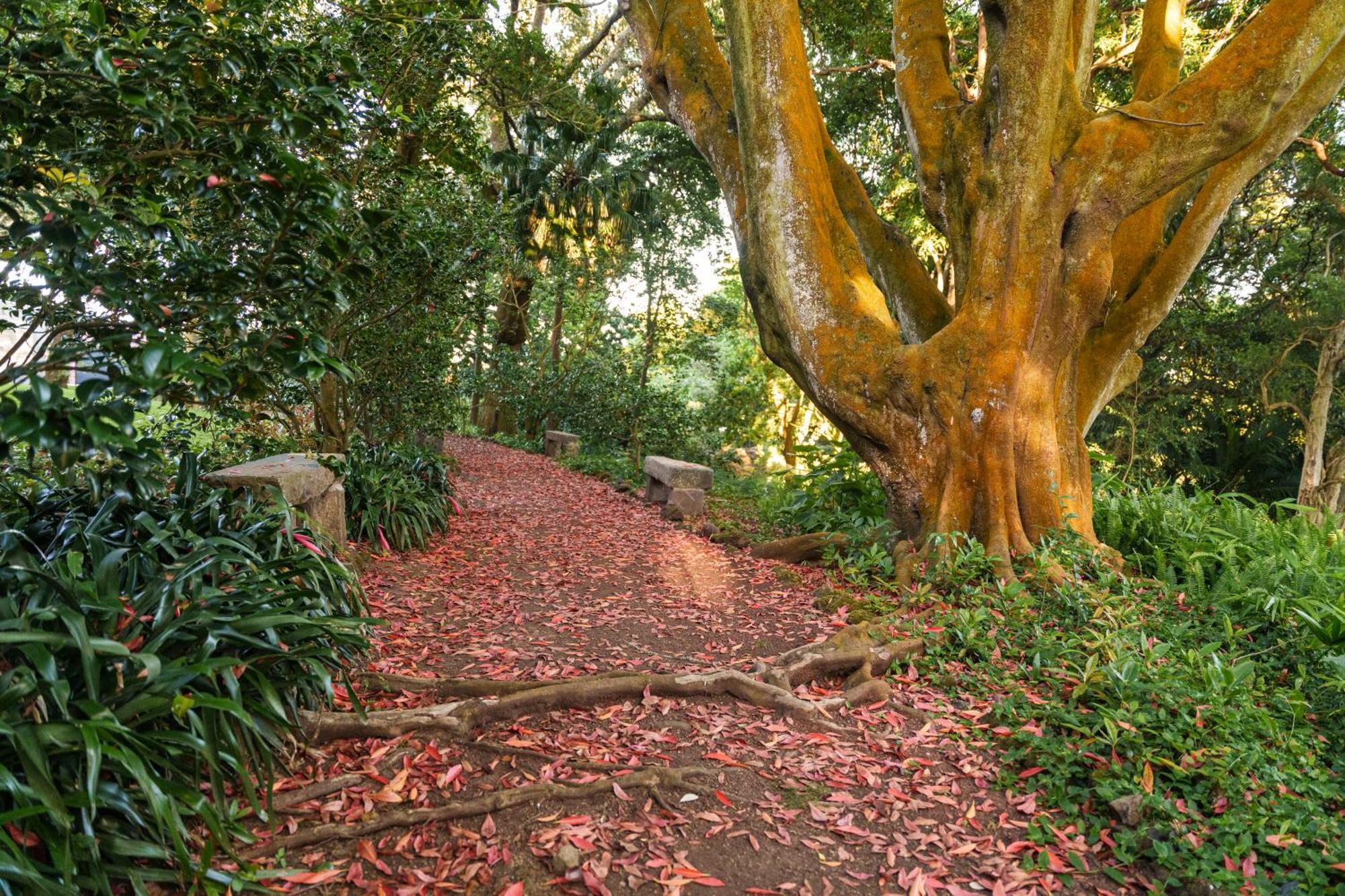 Solar Dos Cantos Botanic House & Garden Ponta Delgada  Ngoại thất bức ảnh
