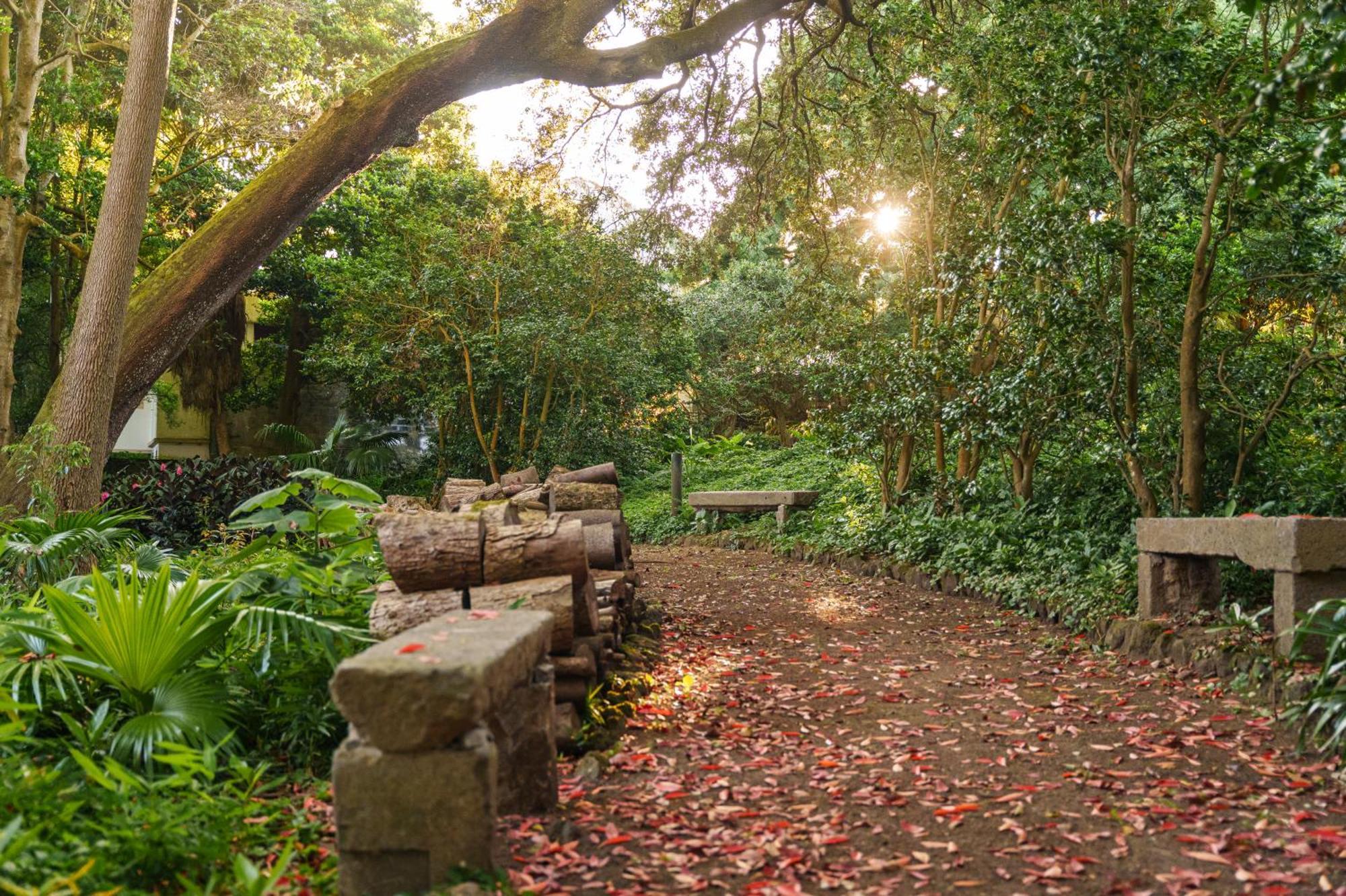 Solar Dos Cantos Botanic House & Garden Ponta Delgada  Ngoại thất bức ảnh